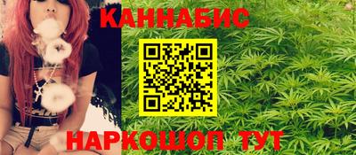 сатива Новодвинск