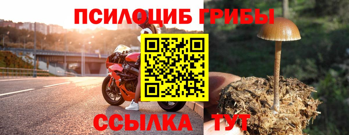 Псилоцибиновые грибы мухоморы Реж
