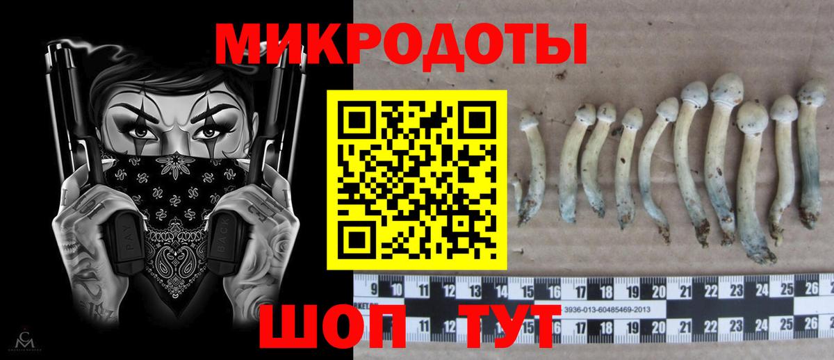 Псилоцибиновые грибы Cubensis  Вход с VPN  Реж  Псилоцибиновые грибы Magic Shrooms 